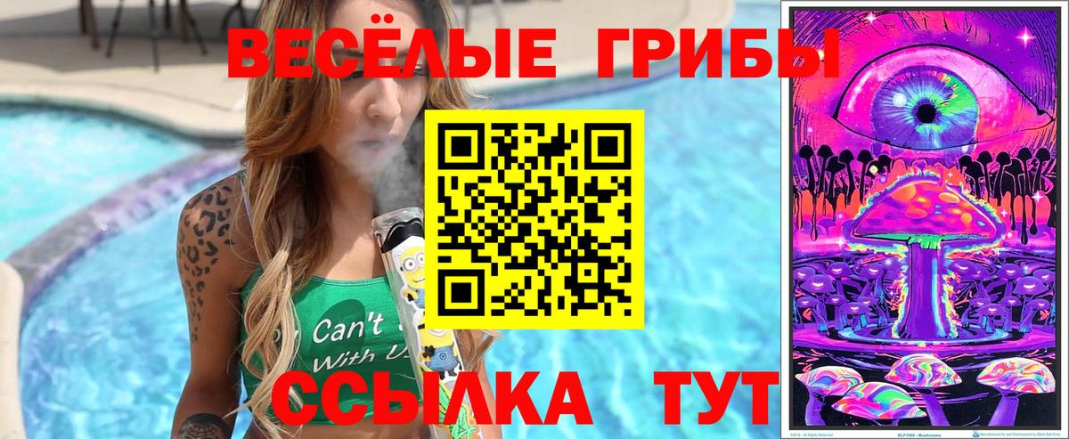 Луховицы  Галлюциногенные грибы GOLDEN TEACHER  цены   Вход с VPN 